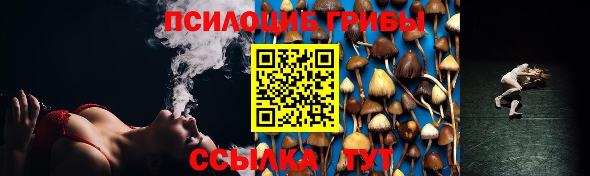 Галлюциногенные грибы Psilocybine cubensis Кимры